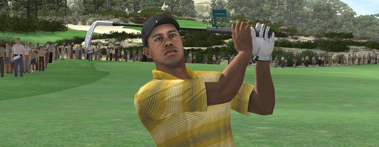 Banner Tiger Woods PGA Tour 2004