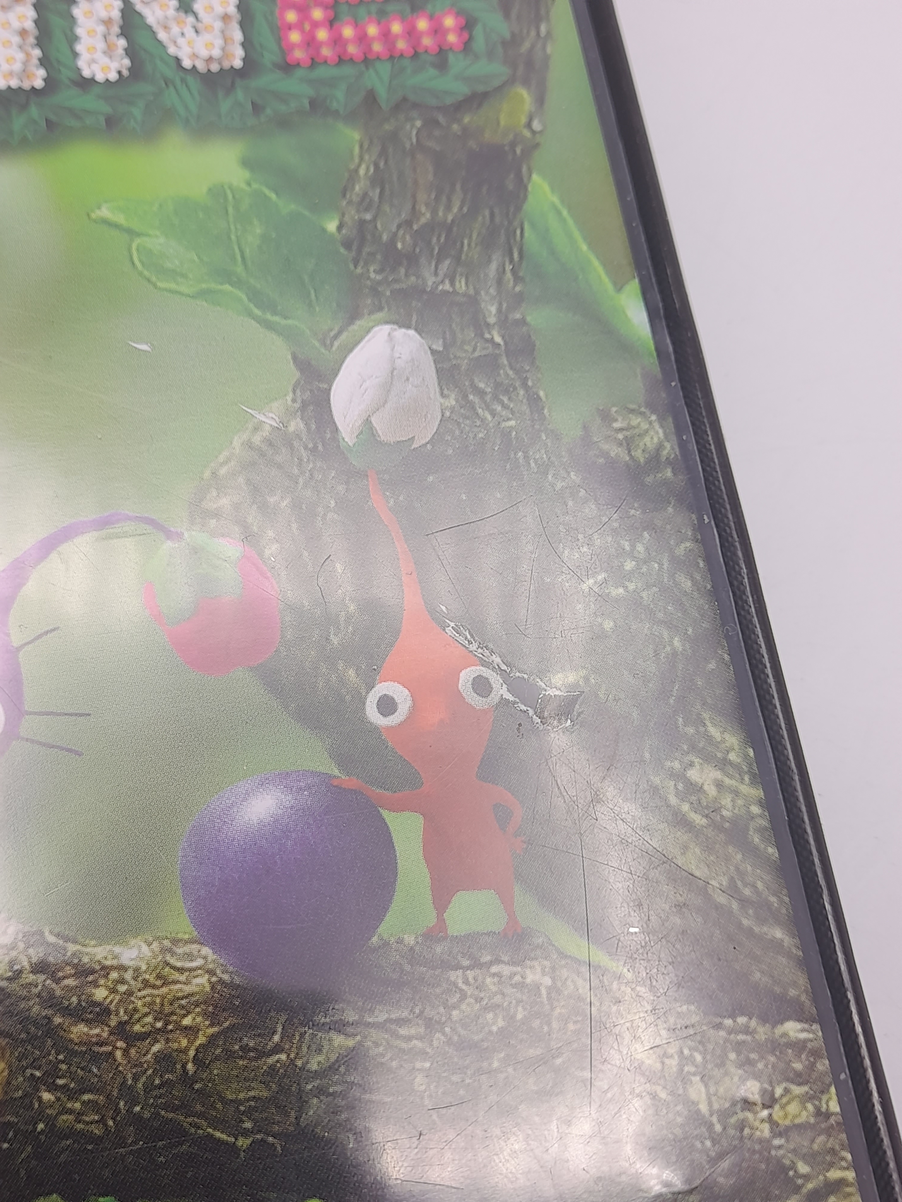 Foto van Pikmin 2