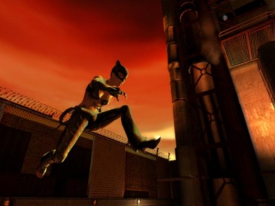 Catwoman jumping over the wall of Hedare’s factory.