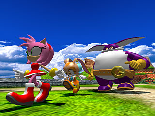 Team Rose met Amy Rose, Cream the Rabbit en Big the Cat.